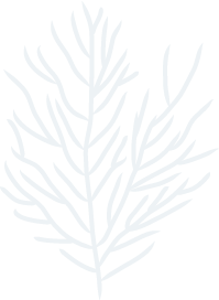 decorative tree